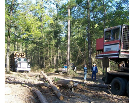 Bill Barrett - Barrett Tree Farm